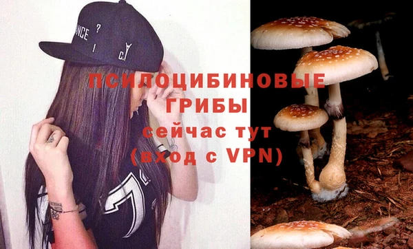 МДПВ Медвежьегорск