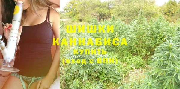 стафф Михайловск