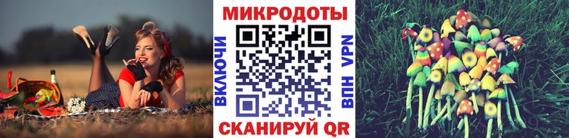 Галлюциногенные грибы прущие грибы  Александровск-Сахалинский 